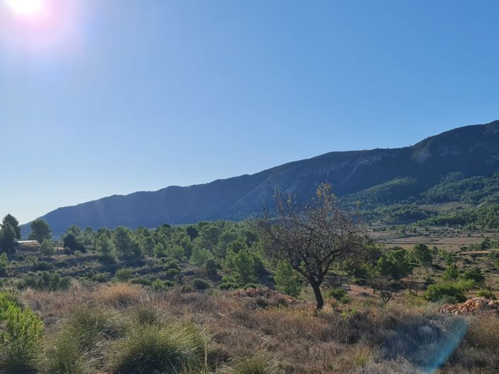 Image No.4-Land for sale