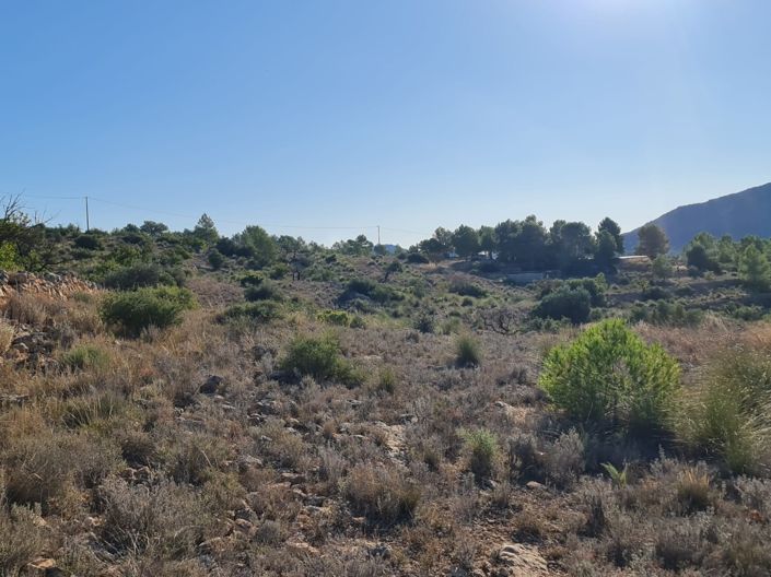 Image No.5-Land for sale