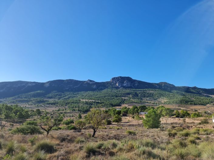 Image No.6-Land for sale