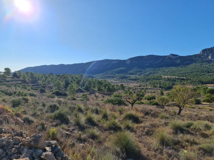 Image No.9-Land for sale