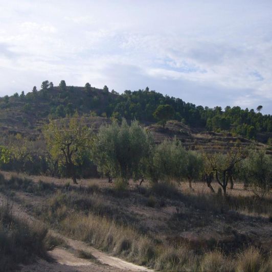 Image No.2-Propriété de 3 chambres à vendre à Macisvenda