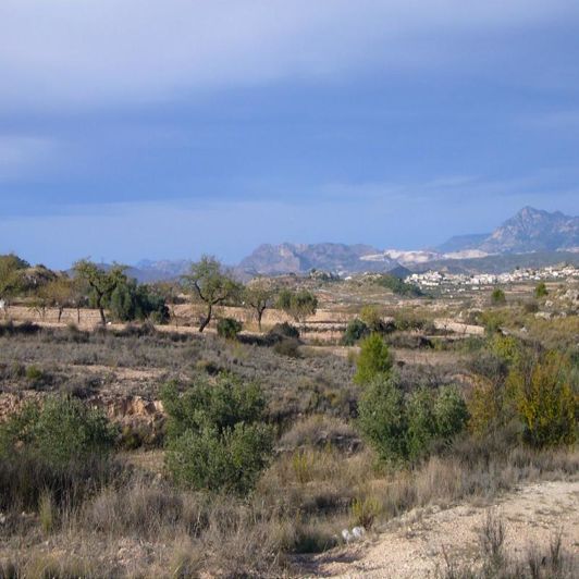 Image No.3-3 Bed Property for sale