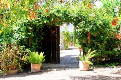 Stratus International most sold property