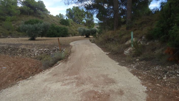 Image No.11-Terre à vendre à La Zarza