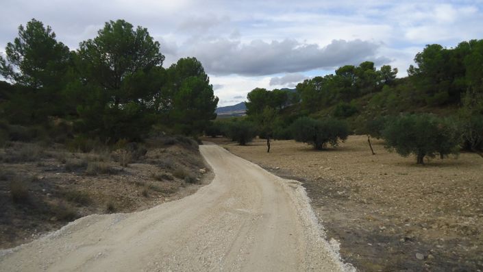 Image No.13-Terre à vendre à La Zarza