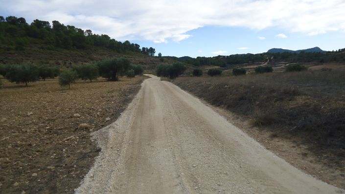 Image No.14-Terre à vendre à La Zarza