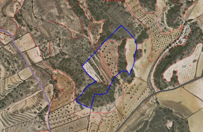 Image No.15-Terre à vendre à La Zarza