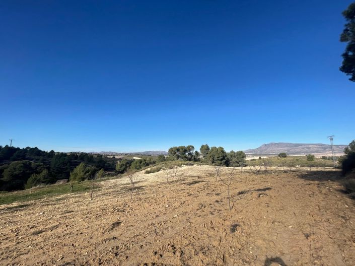 Image No.7-Terre à vendre à La Zarza