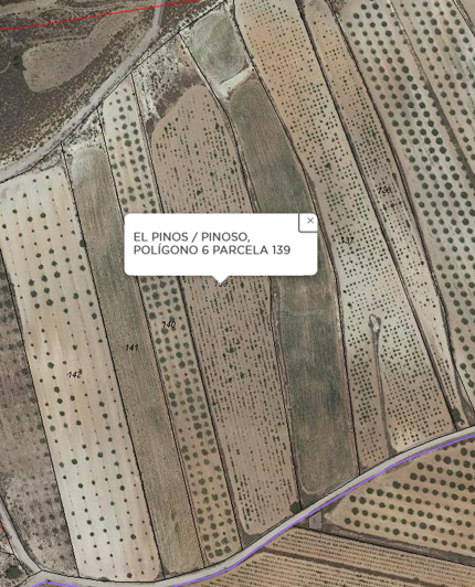 Image No.3-Terre à vendre à Pinoso