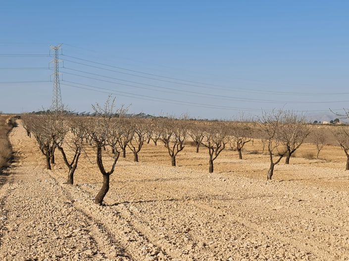 Image No.1-Land for sale