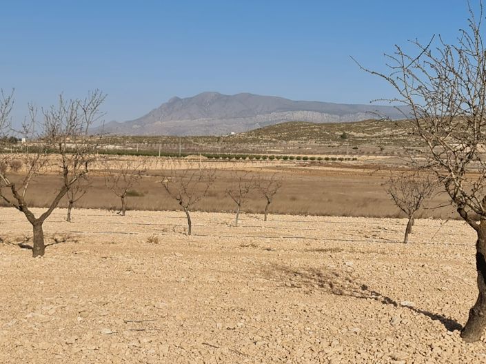 Image No.2-Land for sale