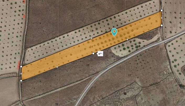 Image No.3-Terre à vendre à Jumilla