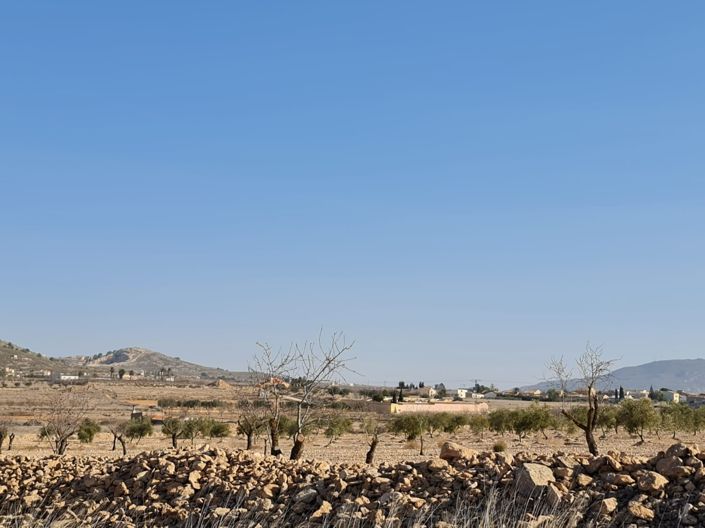 Image No.4-Terre à vendre à Jumilla