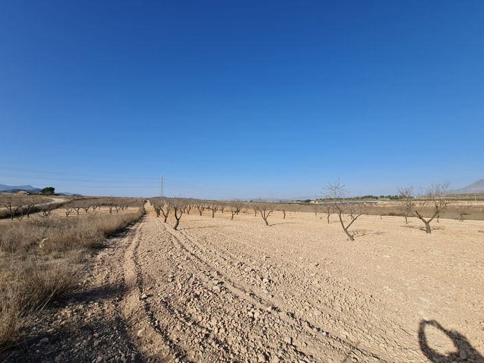 Image No.5-Land for sale