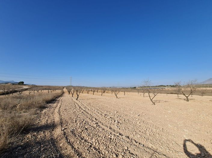 Image No.5-Terreno en venta