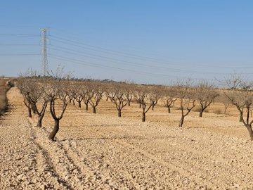 o1hm4qqhun1cohuima7610b91dg11m