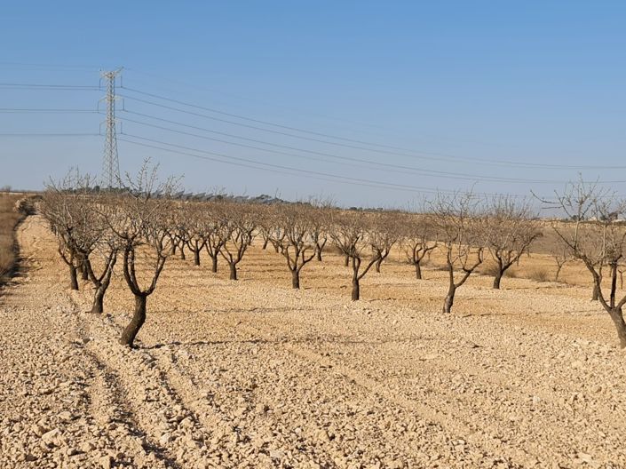 Image No.6-Land for sale