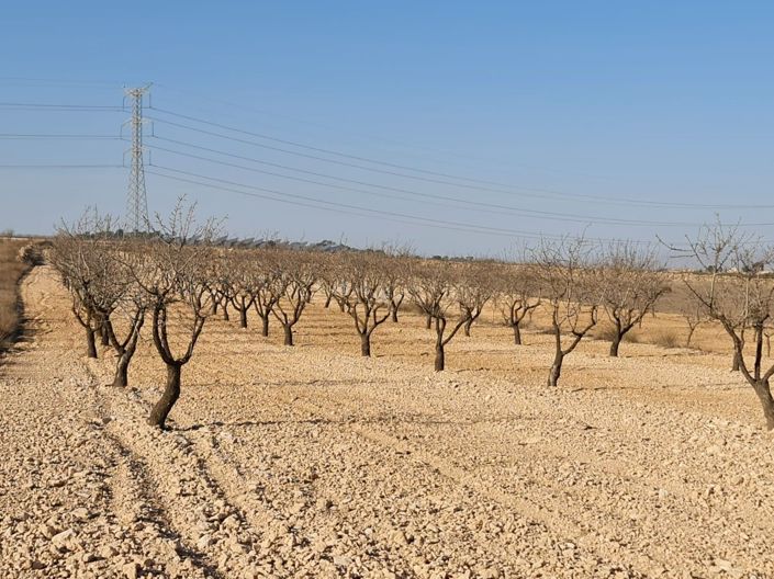 Image No.6-Terreno en venta