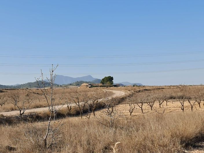 Image No.7-Terreno en venta