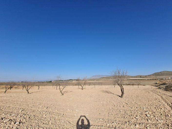 Image No.8-Terreno en venta