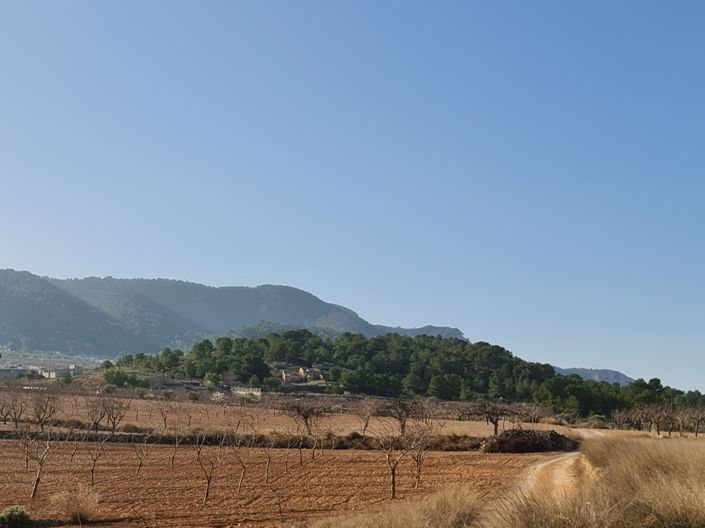 Image No.2-Land for sale
