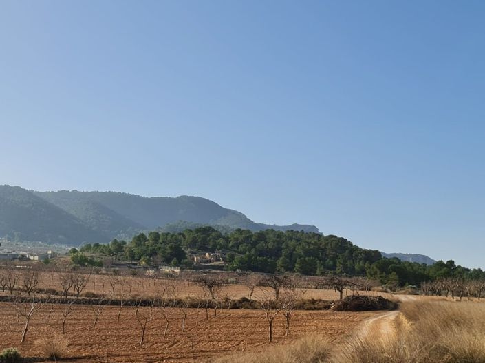 Image No.2-Terre à vendre