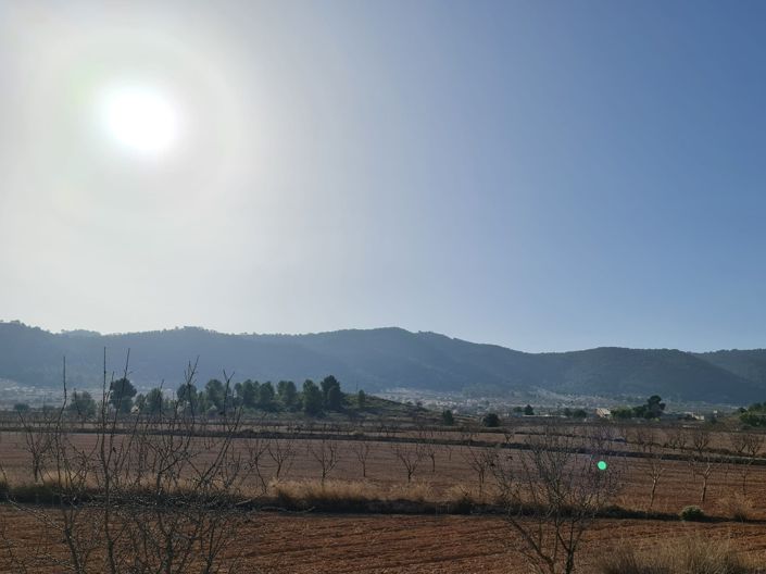 Image No.3-Terre à vendre à Jumilla