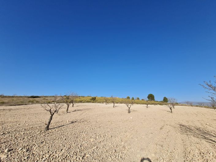 Image No.5-Land for sale