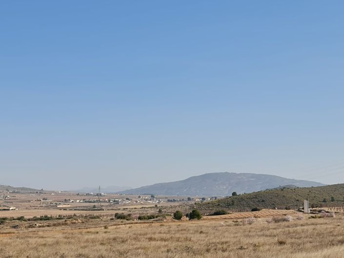 Image No.6-Terre à vendre à Jumilla