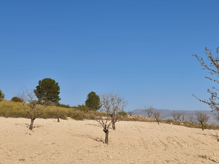 Image No.7-Land for sale