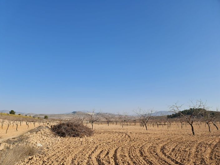 Image No.10-Land for sale