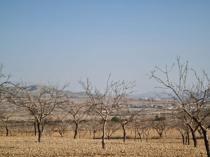 Image No.11-Land for sale