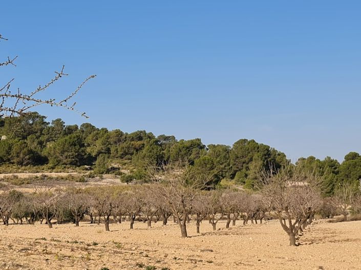 Image No.12-Land for sale