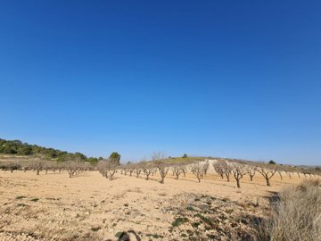 o1hm4q55871o94146npib1uccfr525