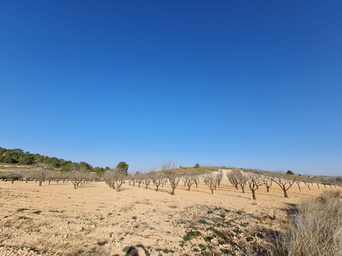 Image No.14-Land for sale