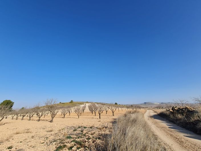 Image No.15-Land for sale