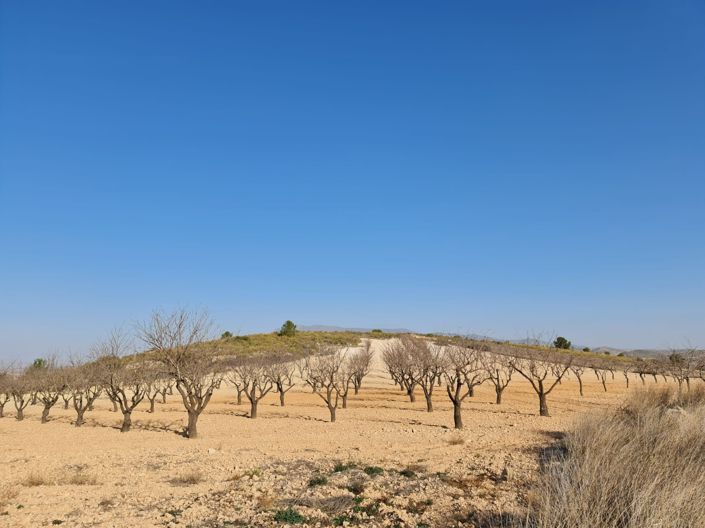 Image No.2-Land for sale