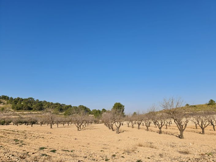 Image No.4-Land for sale