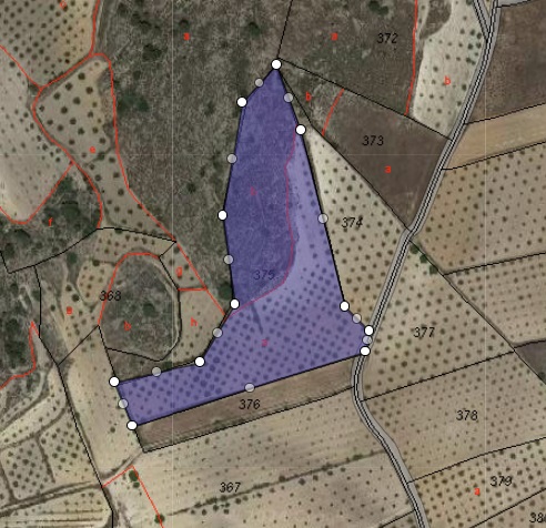 Image No.5-Terre à vendre à Jumilla