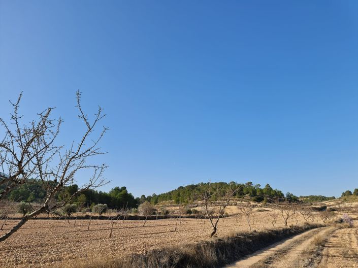 Image No.6-Land for sale