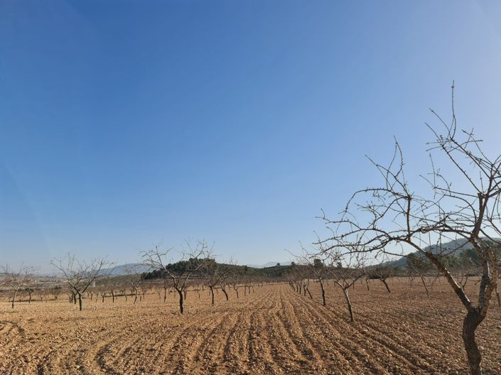 Image No.7-Land for sale