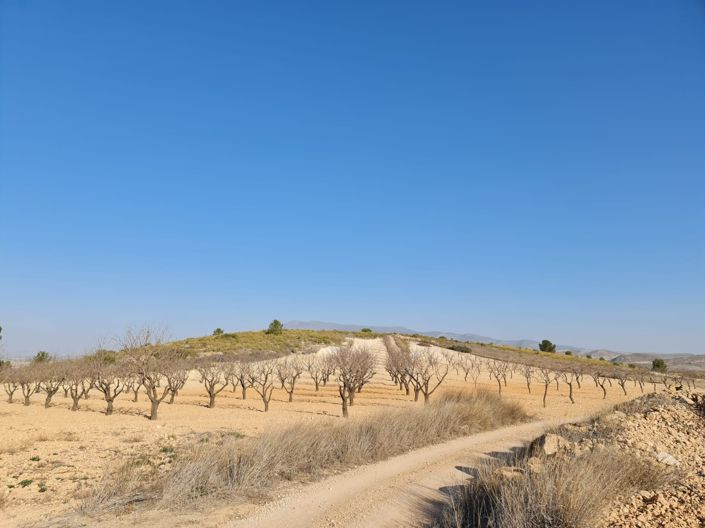 Image No.8-Land for sale