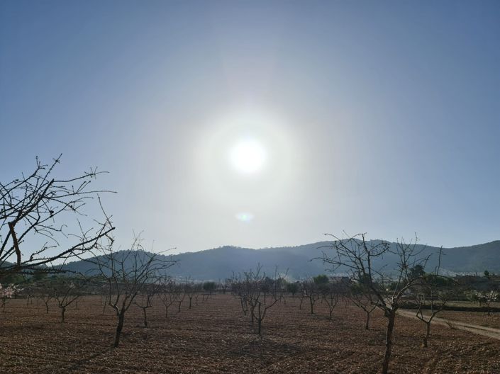 Image No.9-Land for sale