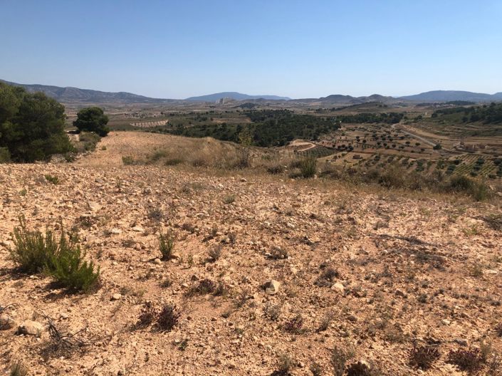 Image No.1-Land for sale