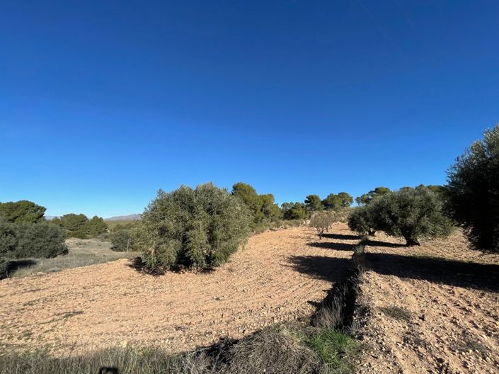 Image No.1-Land for sale