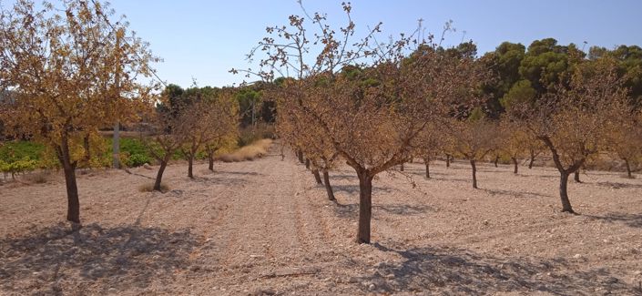 Image No.3-Land for sale