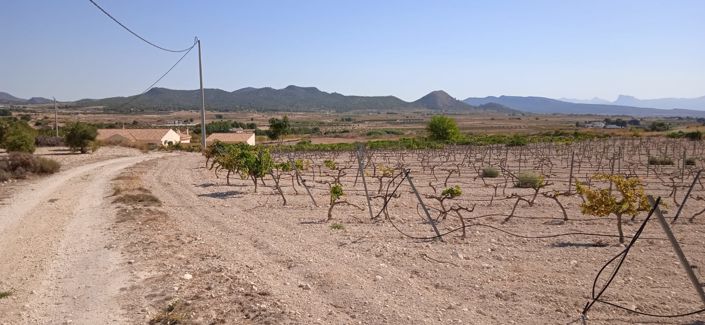 Image No.4-Land for sale