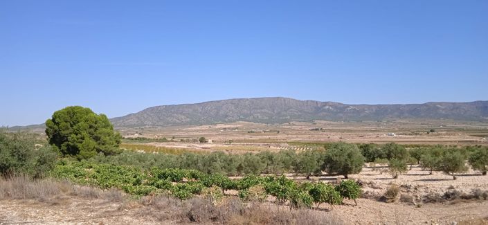 Image No.6-Land for sale