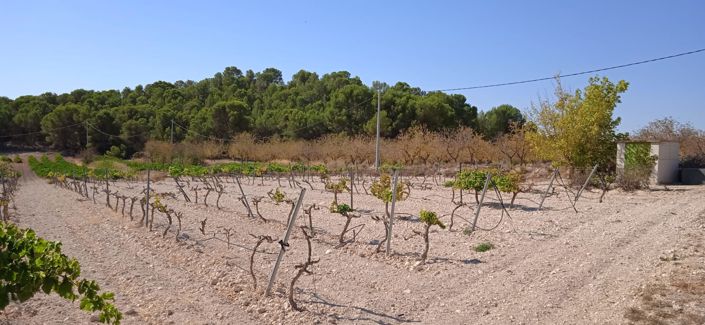 Image No.9-Land for sale