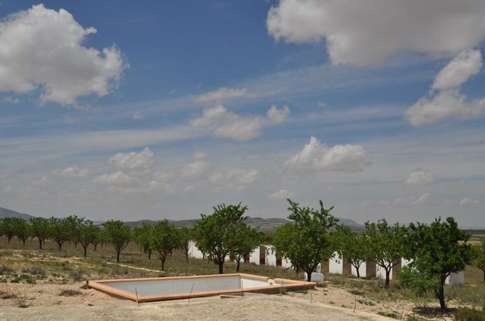 Image No.1-Terre à vendre à Yecla